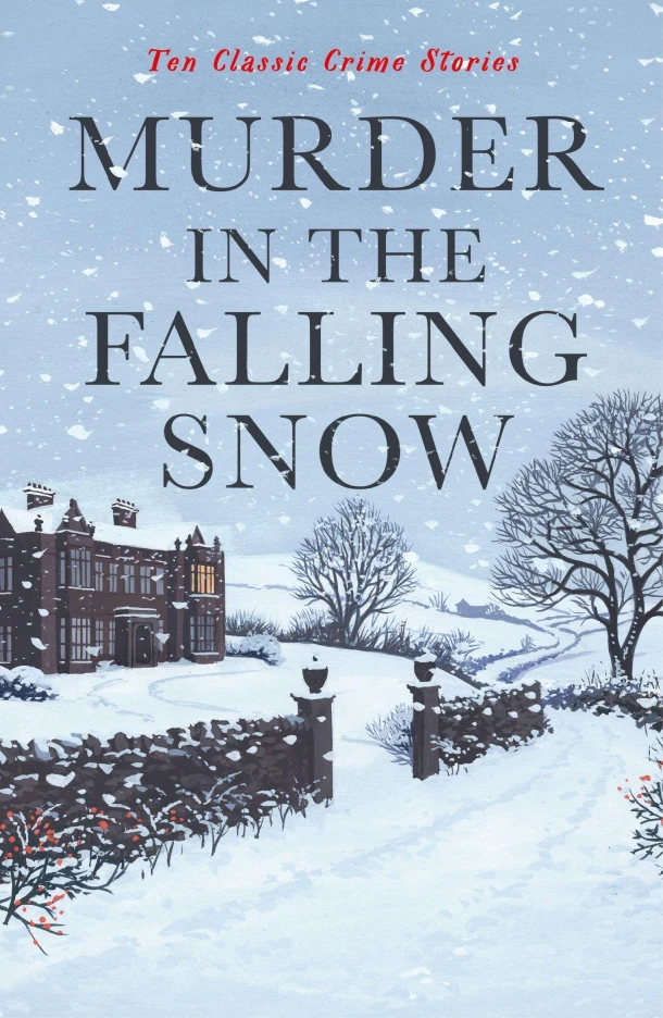 Murder in the Falling Snow – Cecily Gayford – boek cover