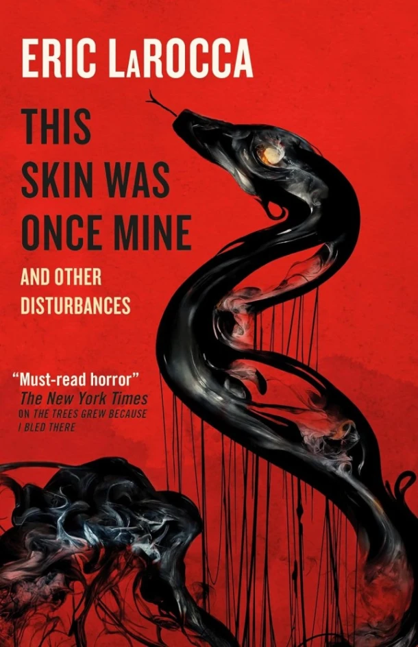 This Skin Was Once Mine and Other Disturbances – boek cover