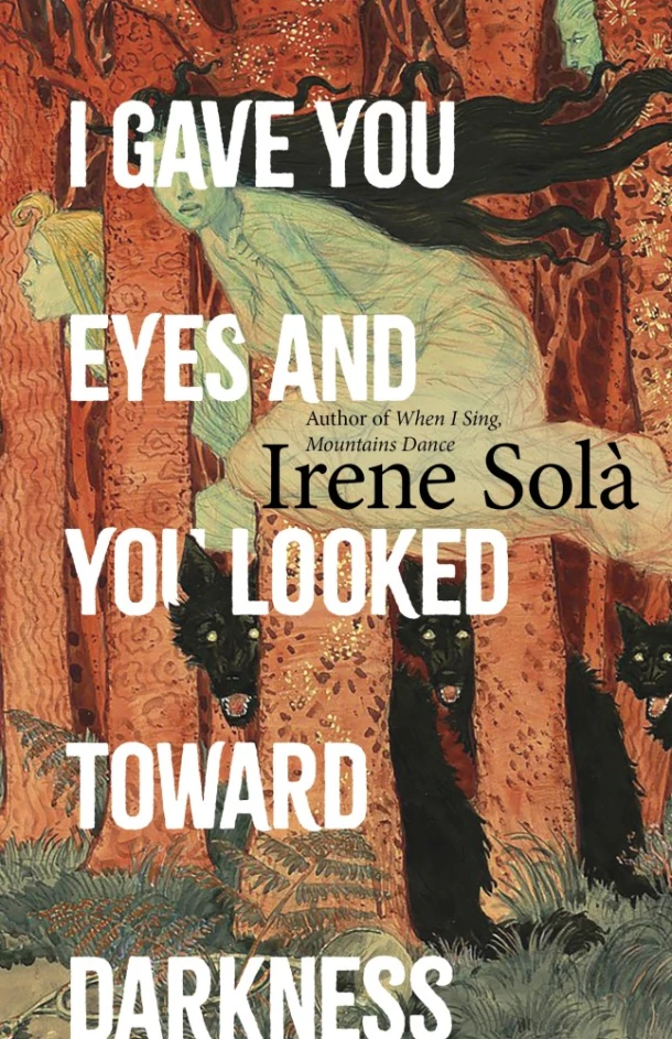 I Gave You Eyes and You Looked Toward Darkness – boek cover