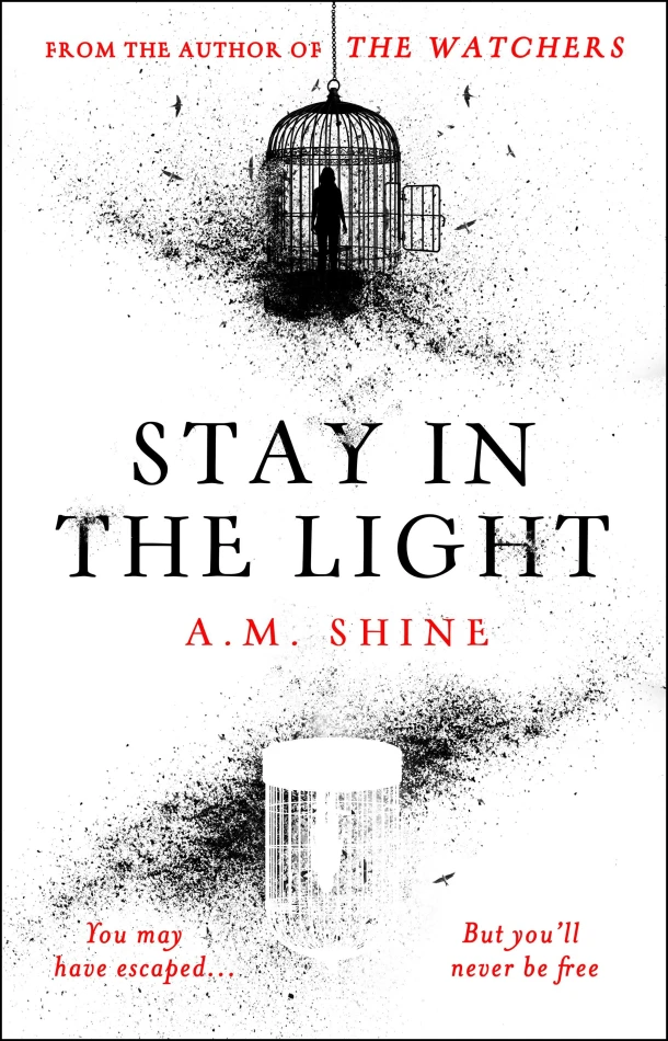 Stay in the Light – boek cover
