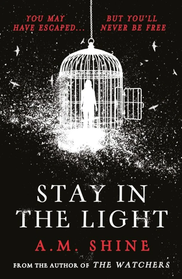 Stay in the Light – A.M. Shine – boek cover