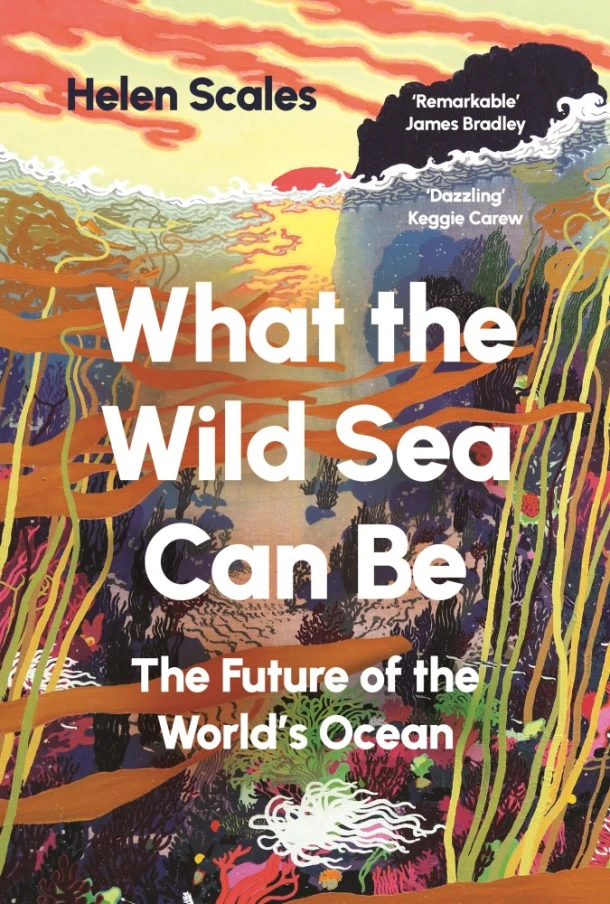 What the Wild Sea Can Be – Helen Scales – boek cover