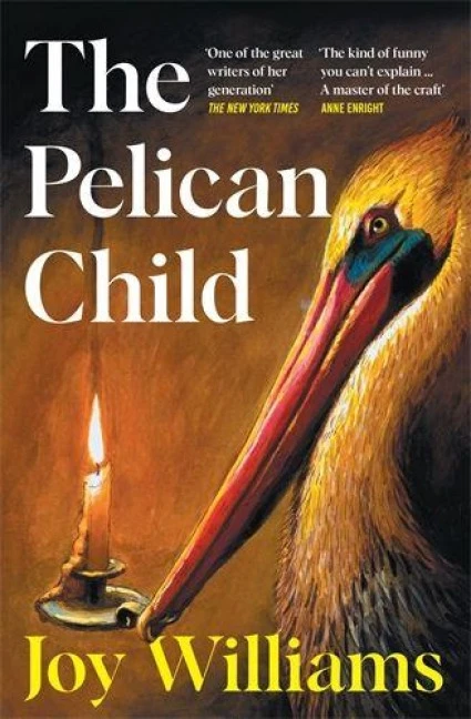 The Pelican Child – Joy Williams – boek cover