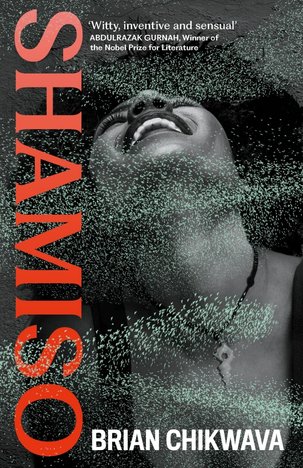 Shamiso – boek cover