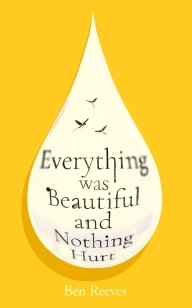Everything was Beautiful and Nothing Hurt – Ben Reeves – boek cover