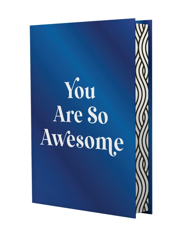 You Are So Awesome – Summersdale Publishers – boek cover