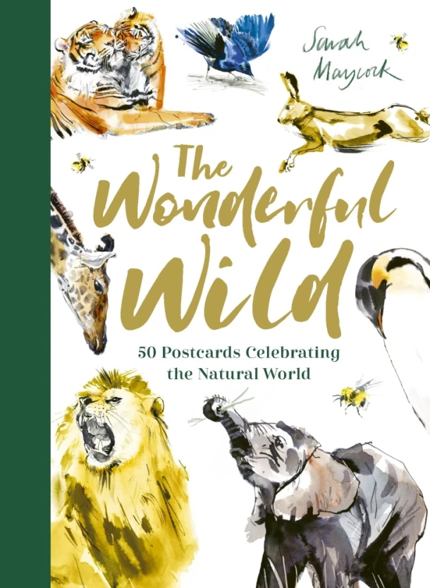 The Wonderful Wild – Sarah Maycock – boek cover
