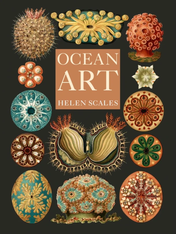 Ocean Art – Helen Scales – boek cover