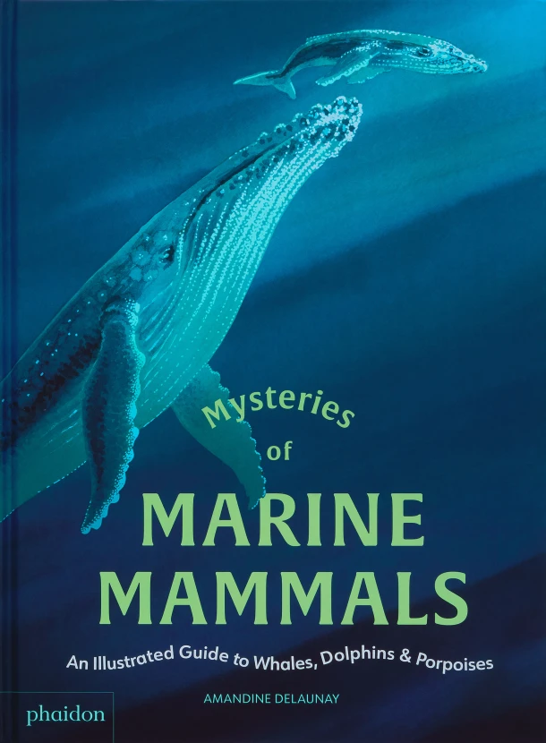 Mysteries of Marine Mammals – Amandine Delaunay – boek cover