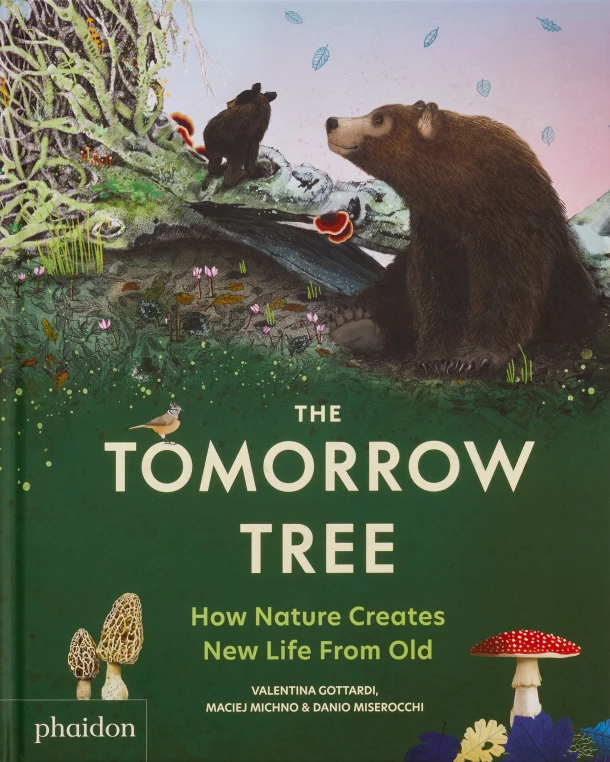 The Tomorrow Tree – Valentina Gottardi – boek cover