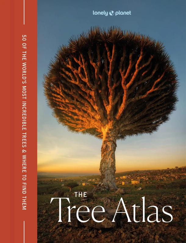 Lonely Planet The Tree Atlas – boek cover