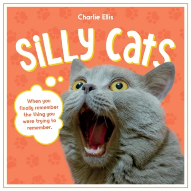 Silly Cats – Summersdale Publishers – boek cover