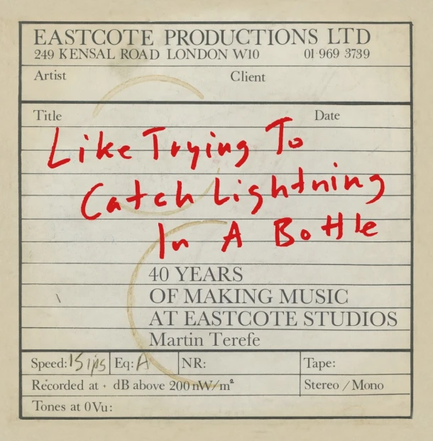 Like Trying to Catch Lightning in a Bottle – Martin Terefe – boek cover