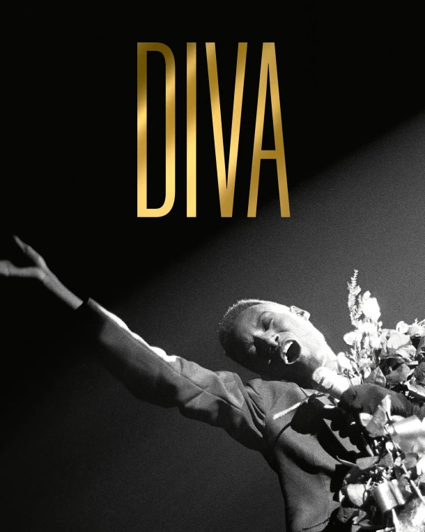 Diva – boek cover