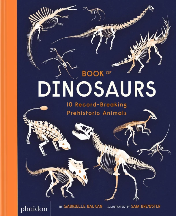 Book of Dinosaurs – Gabrielle Balkan – boek cover