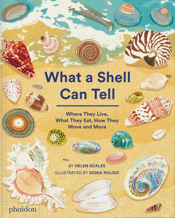What A Shell Can Tell – Helen Scales – boek cover