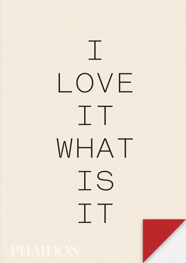 I love it. What is it – boek cover