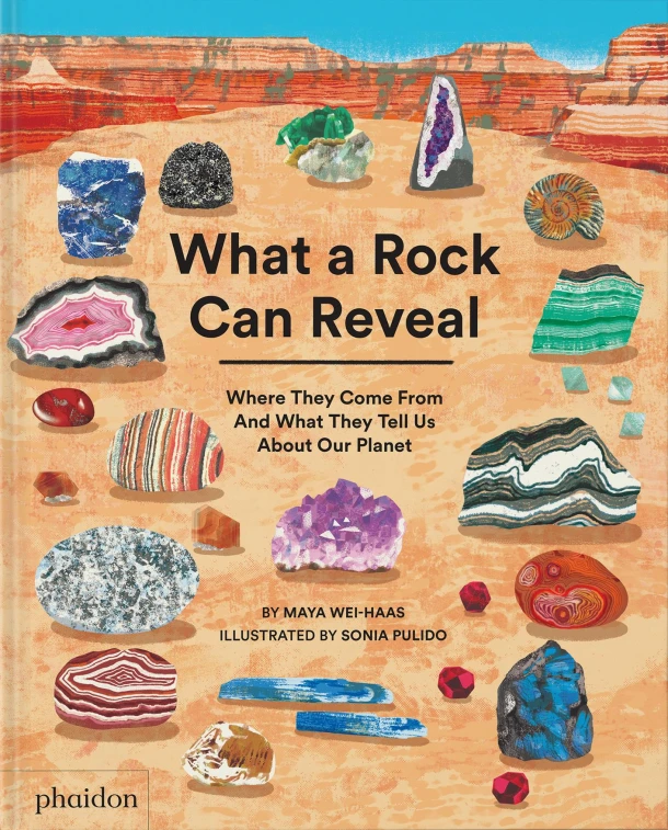 What a Rock Can Reveal – boek cover