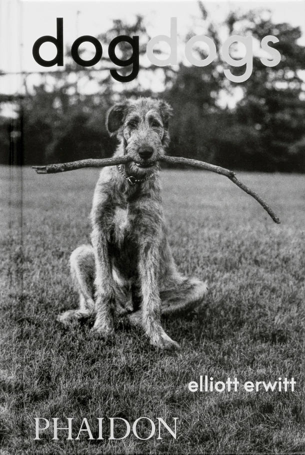 DogDogs – P G Wodehouse – boek cover