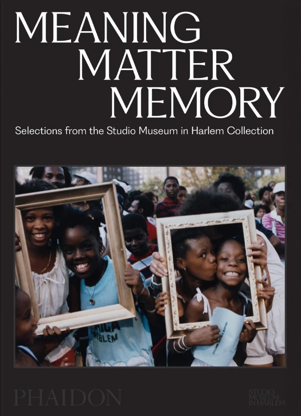 Meaning Matter Memory – Thelma Golden – boek cover