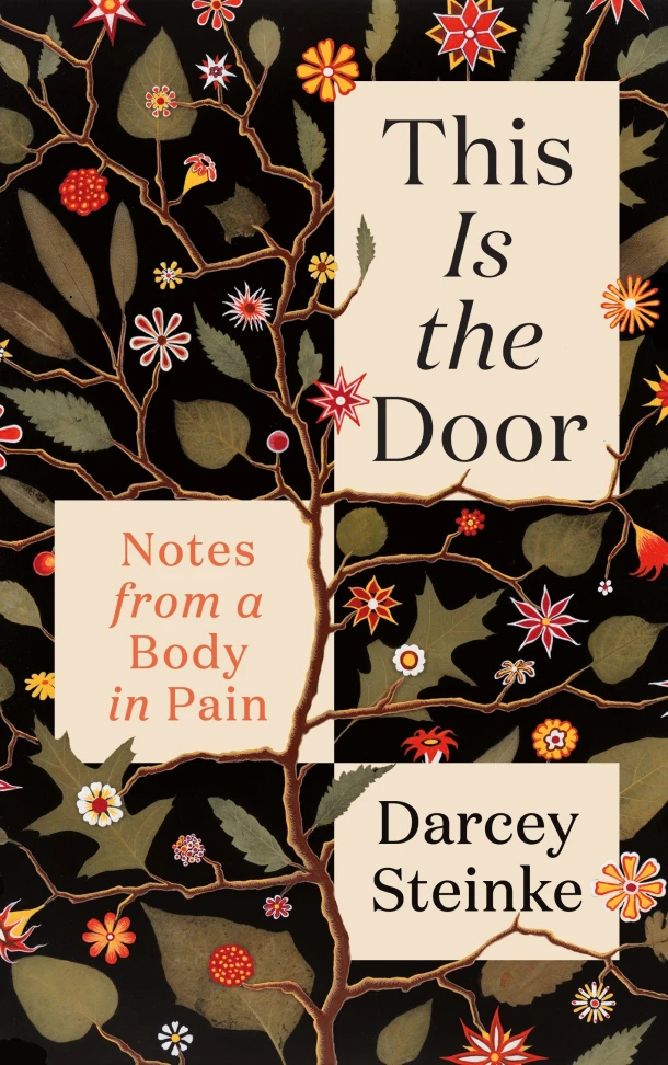 This Is the Door – Darcey Steinke – boek cover