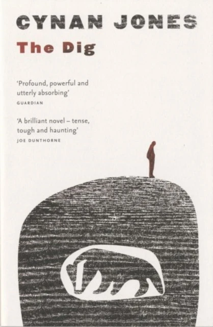 The Dig – boek cover