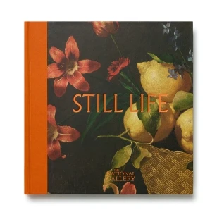 Still Life – Sian Walters – boek cover