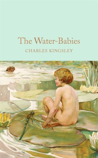 The Water-Babies – boek cover