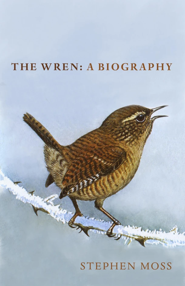 The Wren – Stephen Moss – boek cover