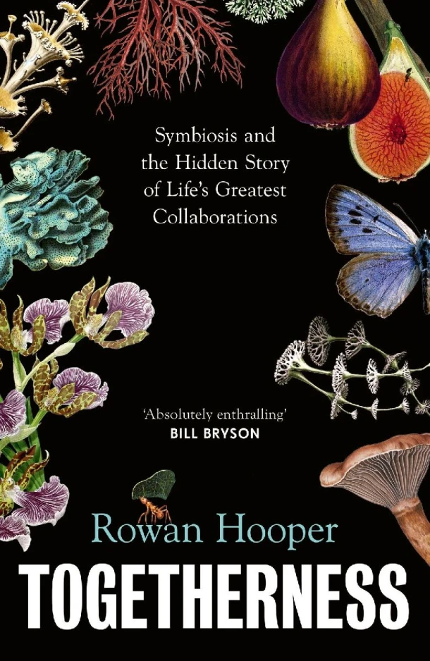 Togetherness – Rowan Hooper – boek cover