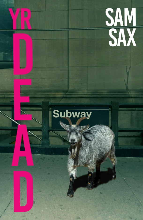 Yr Dead – Sam Sax – boek cover