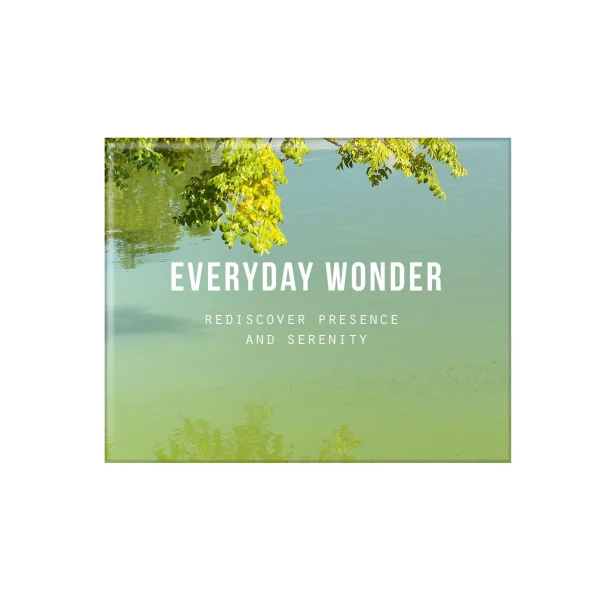 Everyday Wonder – The School of Life – boek cover