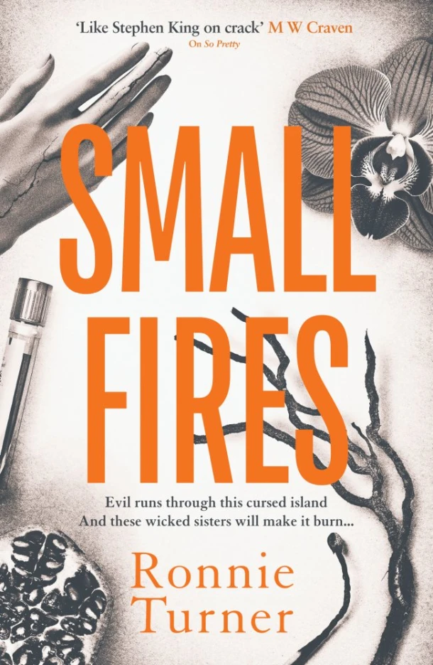 Small Fires – boek cover