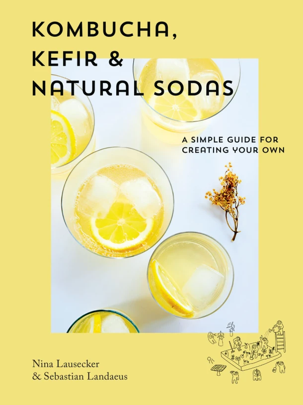 Kombucha, Kefir & Natural Sodas – boek cover