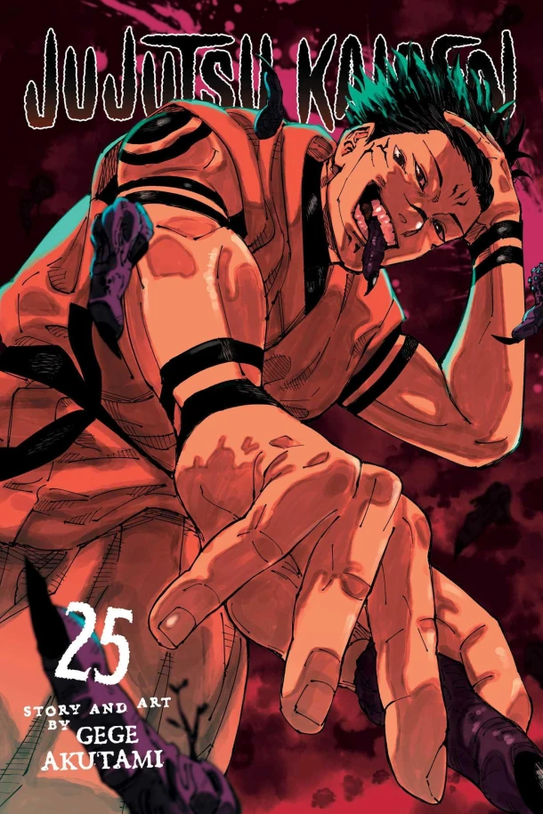 Jujutsu Kaisen, Vol. 25 – Gege Akutami – boek cover