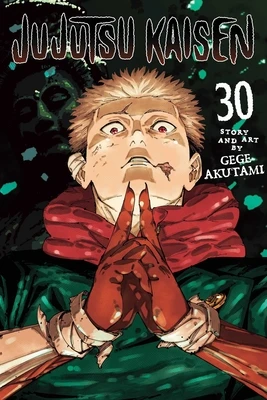 Jujutsu Kaisen, Vol. 30 – Gege Akutami – boek cover