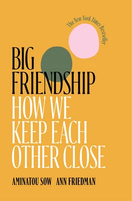 Big Friendship – Aminatou Sow – boek cover