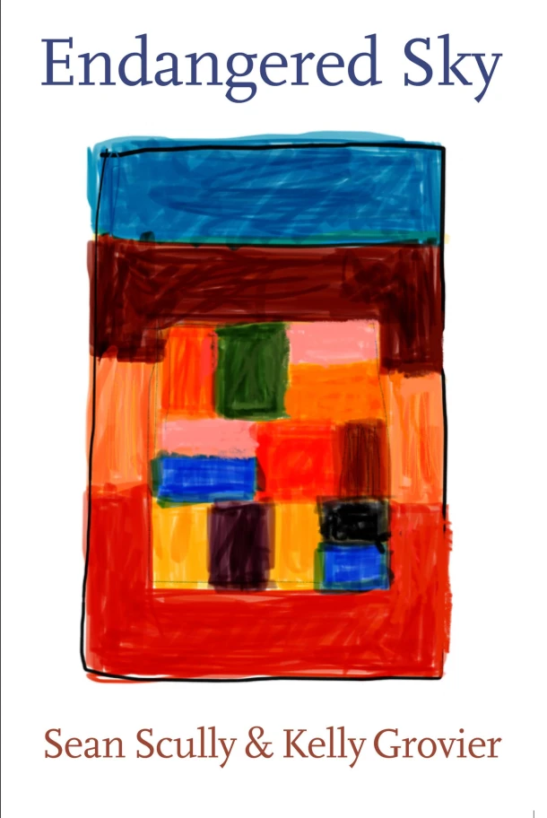 Endangered Sky: Sean Scully & Kelly Grovier – Kelly Grovier – boek cover