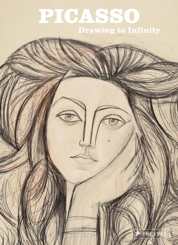 Picasso – Anne Lemonnier – boek cover