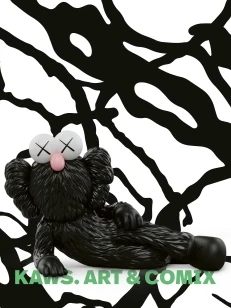 KAWS – Angela Stief – boek cover