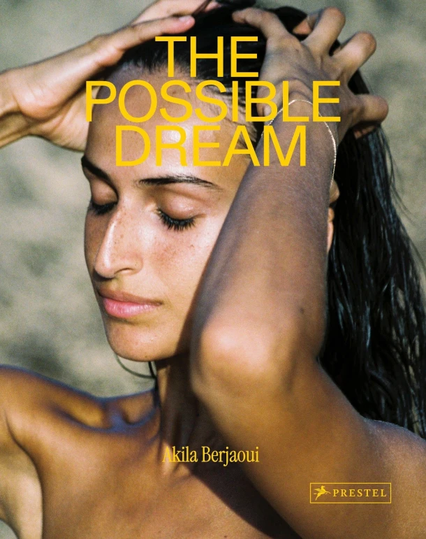 The Possible Dream – Akila Berjaoui – boek cover
