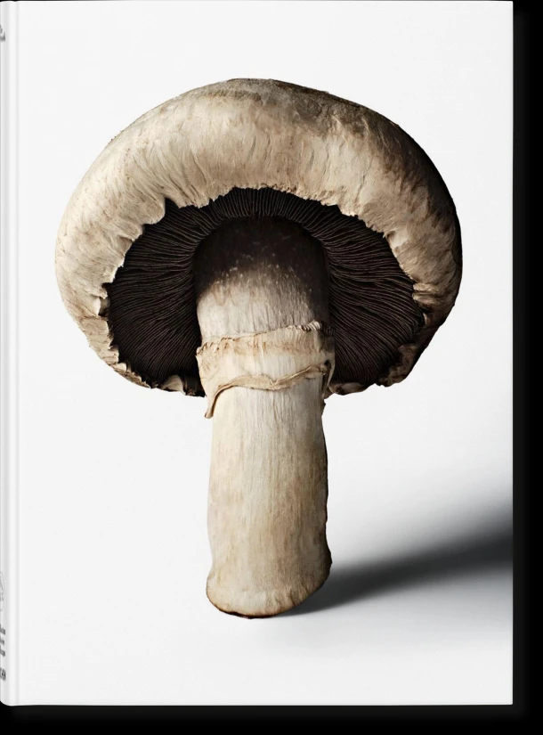 Gourmand's Mushroom – The The Gourmand – boek cover