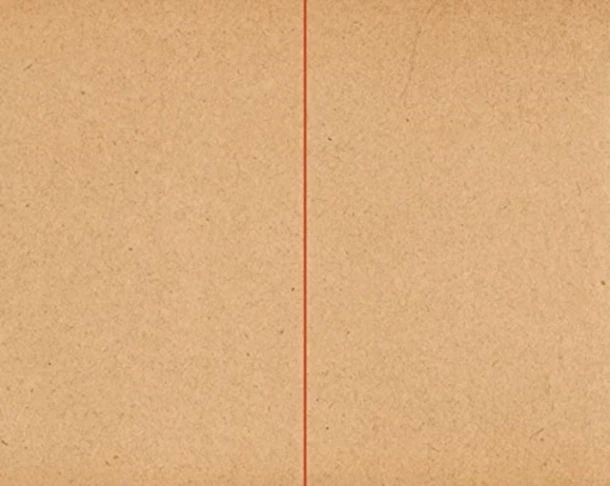 Simon Johnston: Meridian – boek cover