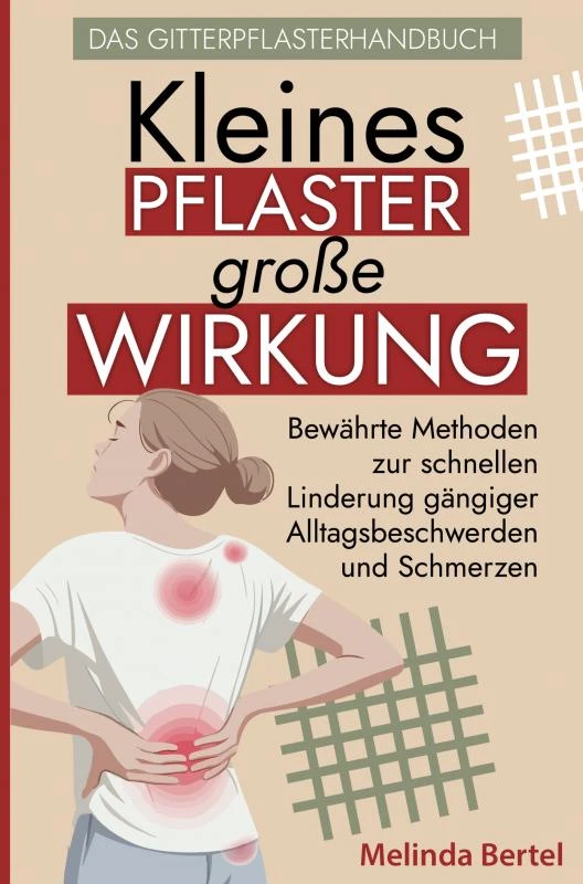Kleines Pflaster, große Wirkung ¿ Das Gitterpflaster Handbuch – boek cover