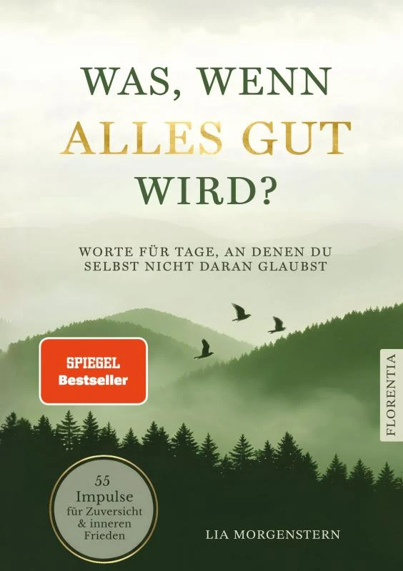 Was, wenn alles gut wird? – Lia Morgenstern – boek cover