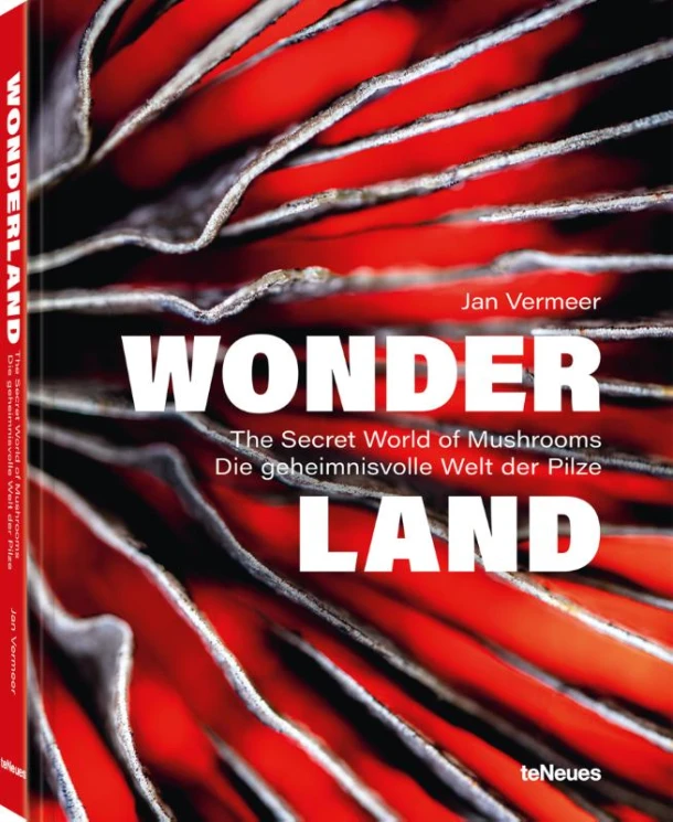 Wonderland – boek cover