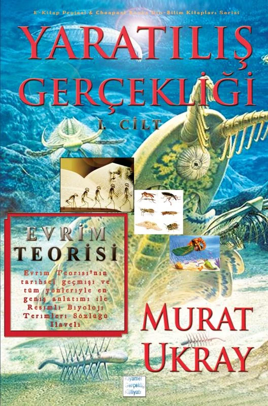 Yarat¿l¿¿ Gerçekli¿i-I – boek cover
