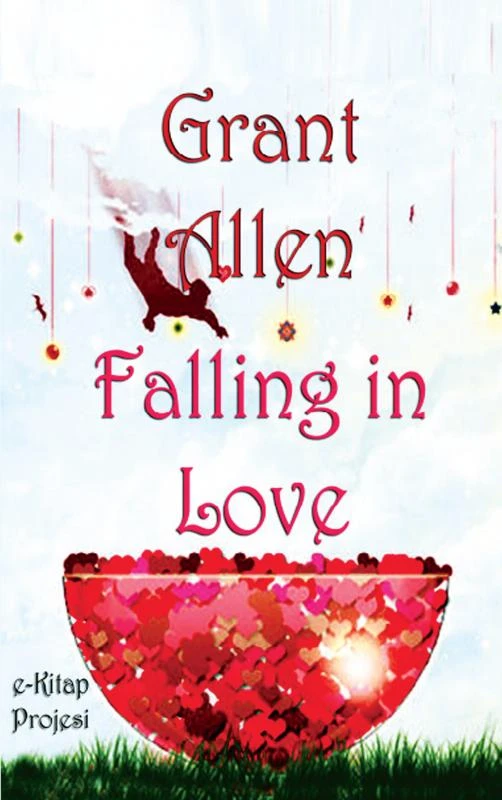 Falling in Love – boek cover
