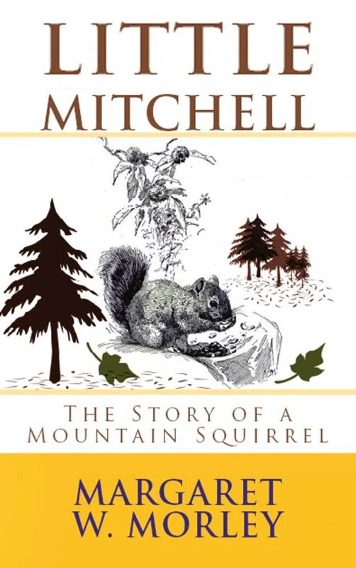 Little Mitchell – boek cover