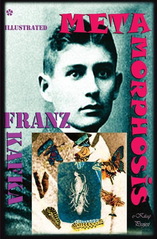 Metamorphosis – boek cover